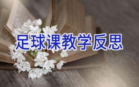 足球课教学反思