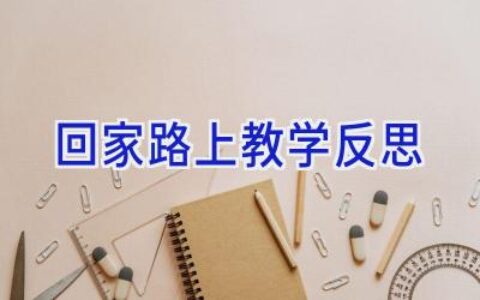 回家路上教学反思