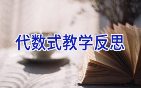 代数式教学反思