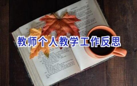 教师个人教学工作反思