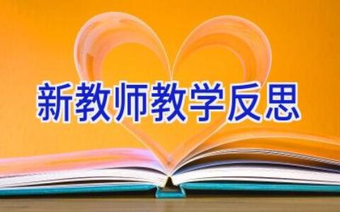 新教师教学反思