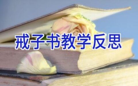 戒子书教学反思