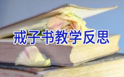 戒子书教学反思