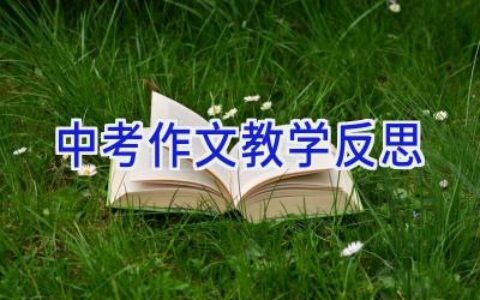 中考作文教学反思