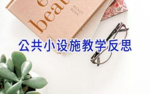 公共小设施教学反思