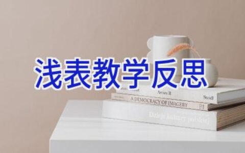 浅表教学反思