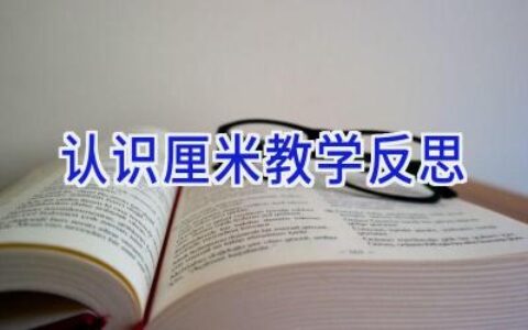 认识厘米教学反思