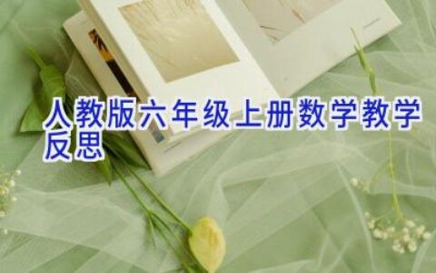 人教版六年级上册数学教学反思