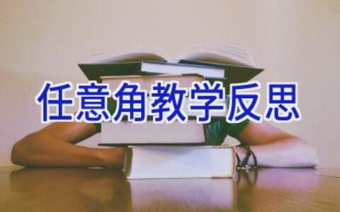 任意角教学反思