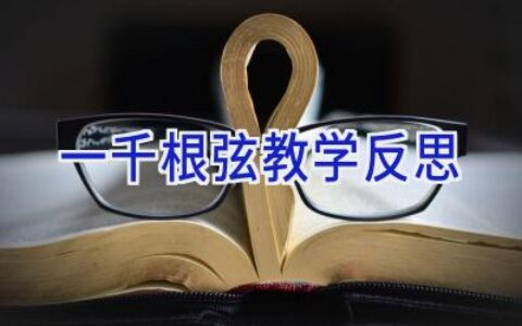 一千根弦教学反思