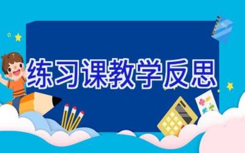 练习课教学反思