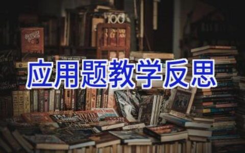 应用题教学反思