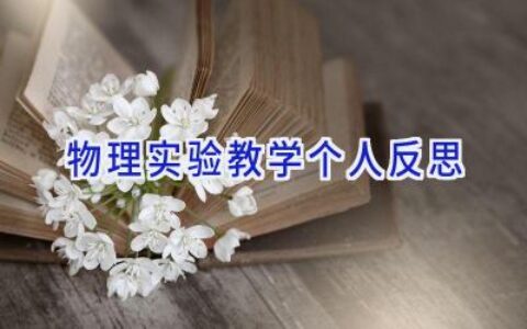 物理实验教学个人反思