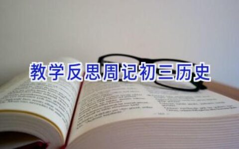 教学反思周记初三历史