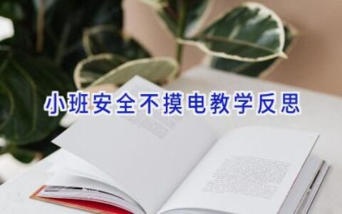 小班安全不摸电教学反思