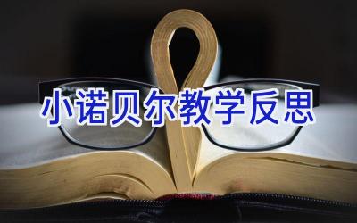 小诺贝尔教学反思