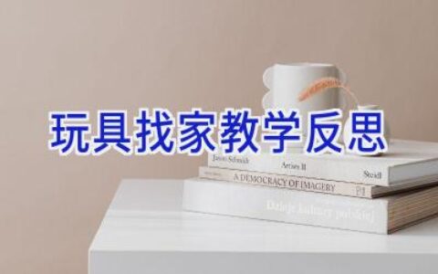 玩具找家教学反思