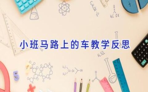小班马路上的车教学反思
