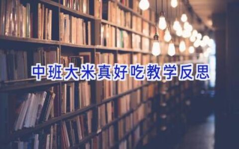 中班大米真好吃教学反思