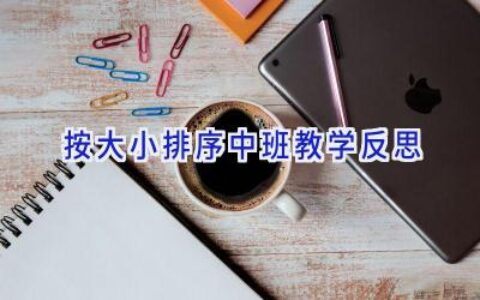 按大小排序中班教学反思